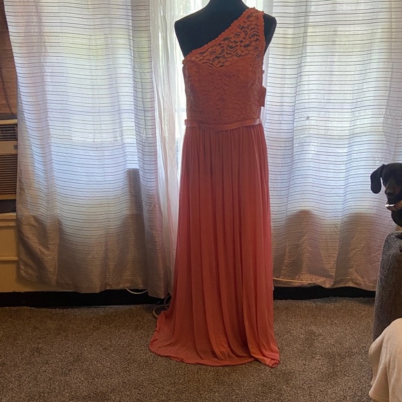 Chic One-Shoulder Coral Lace Dress - Picture 1 of 8